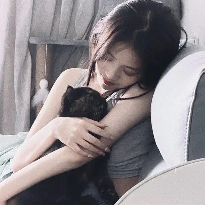 飞盘犬
